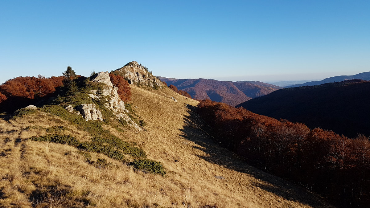 excursie montana