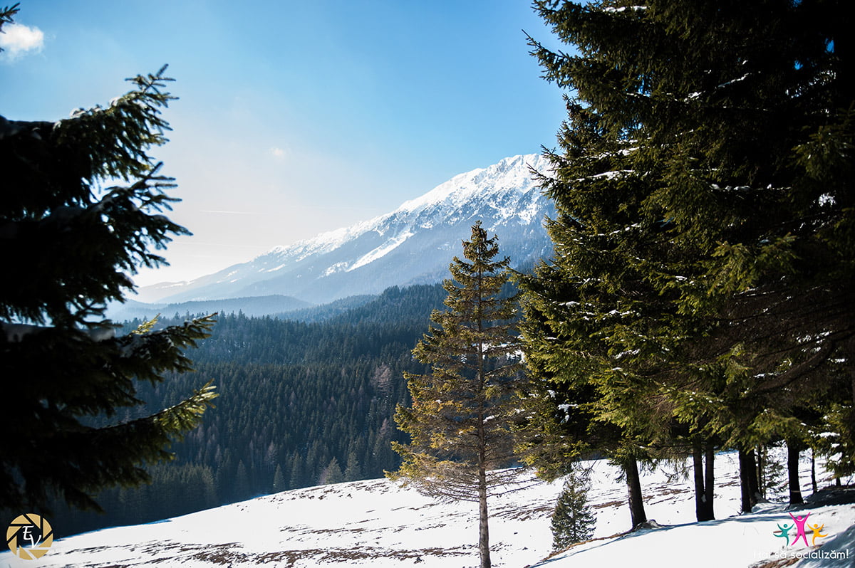 excursie de o zi in Piatra Craiului