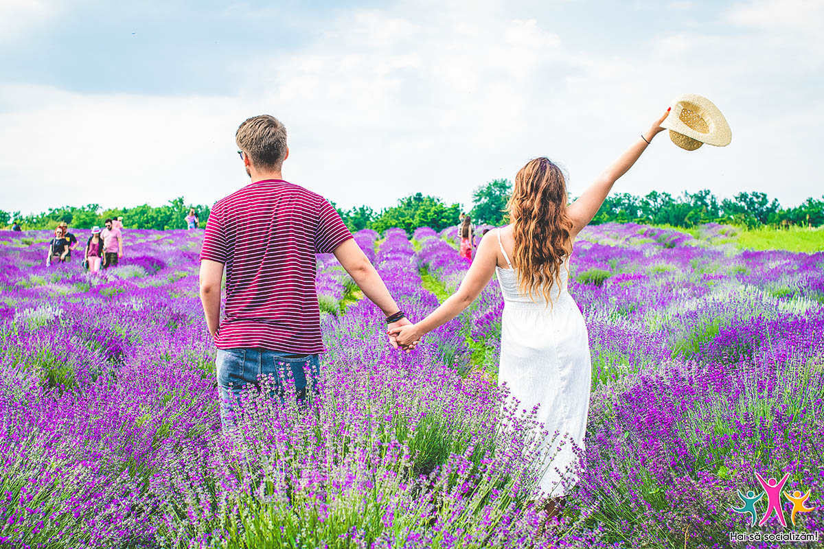 Lavanda