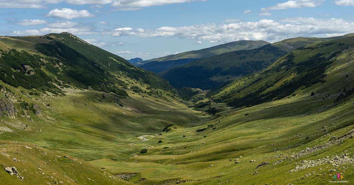 Transalpina