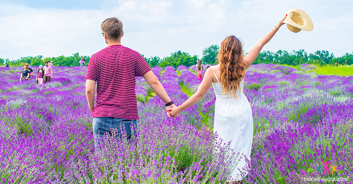 lavanda