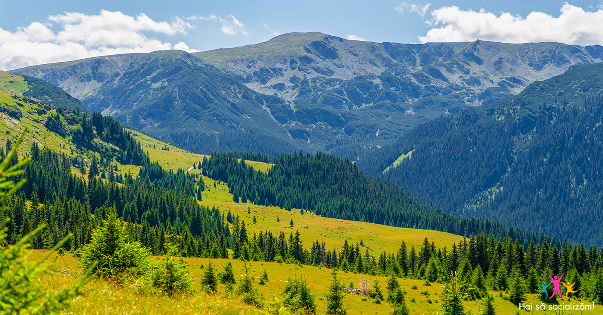transalpina
