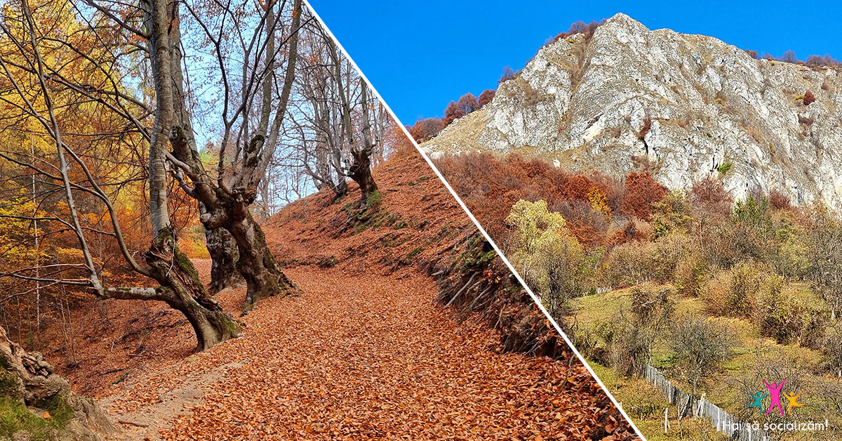 piatra dragoslavelor