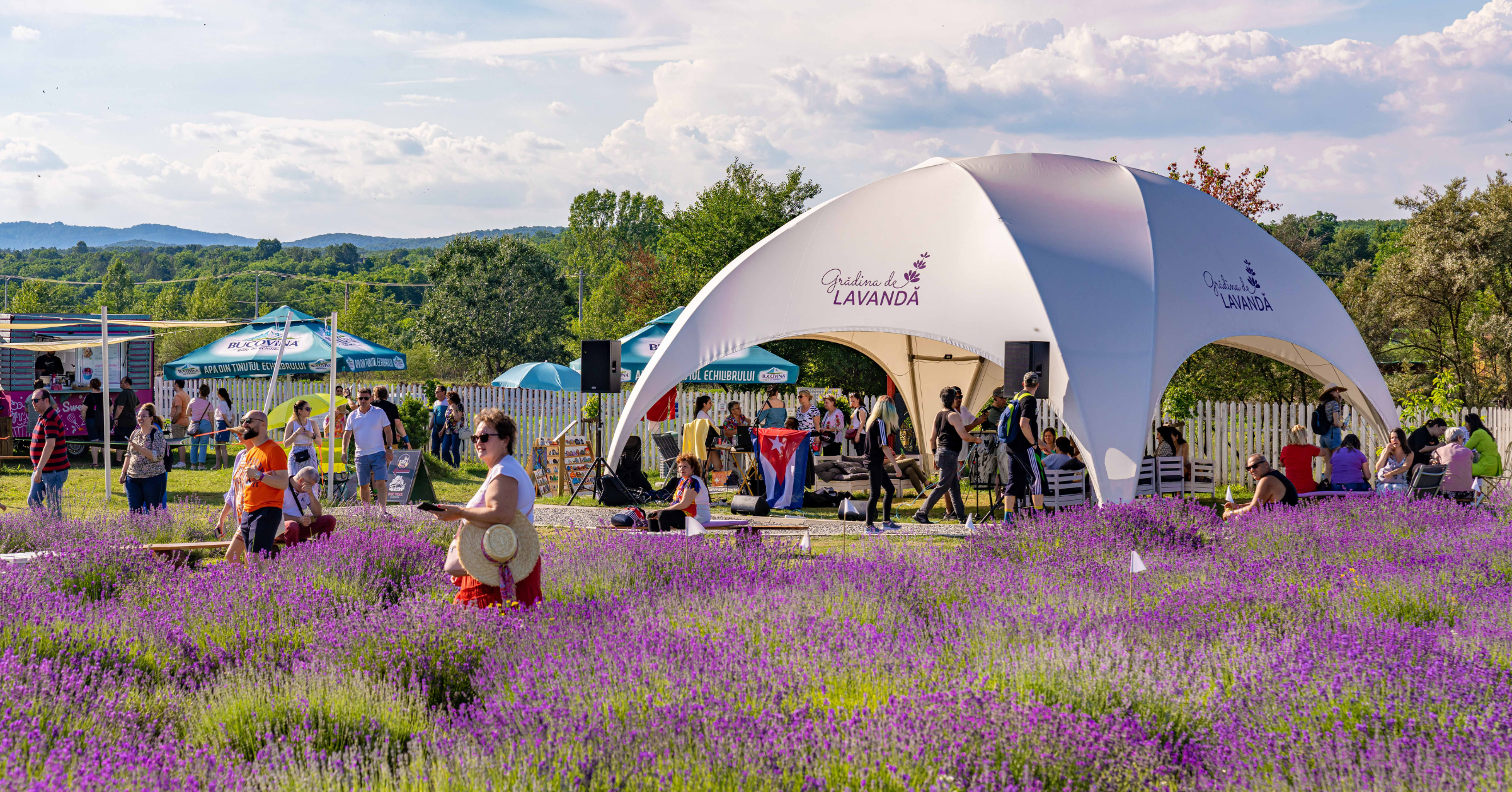Gradina de Lavanda