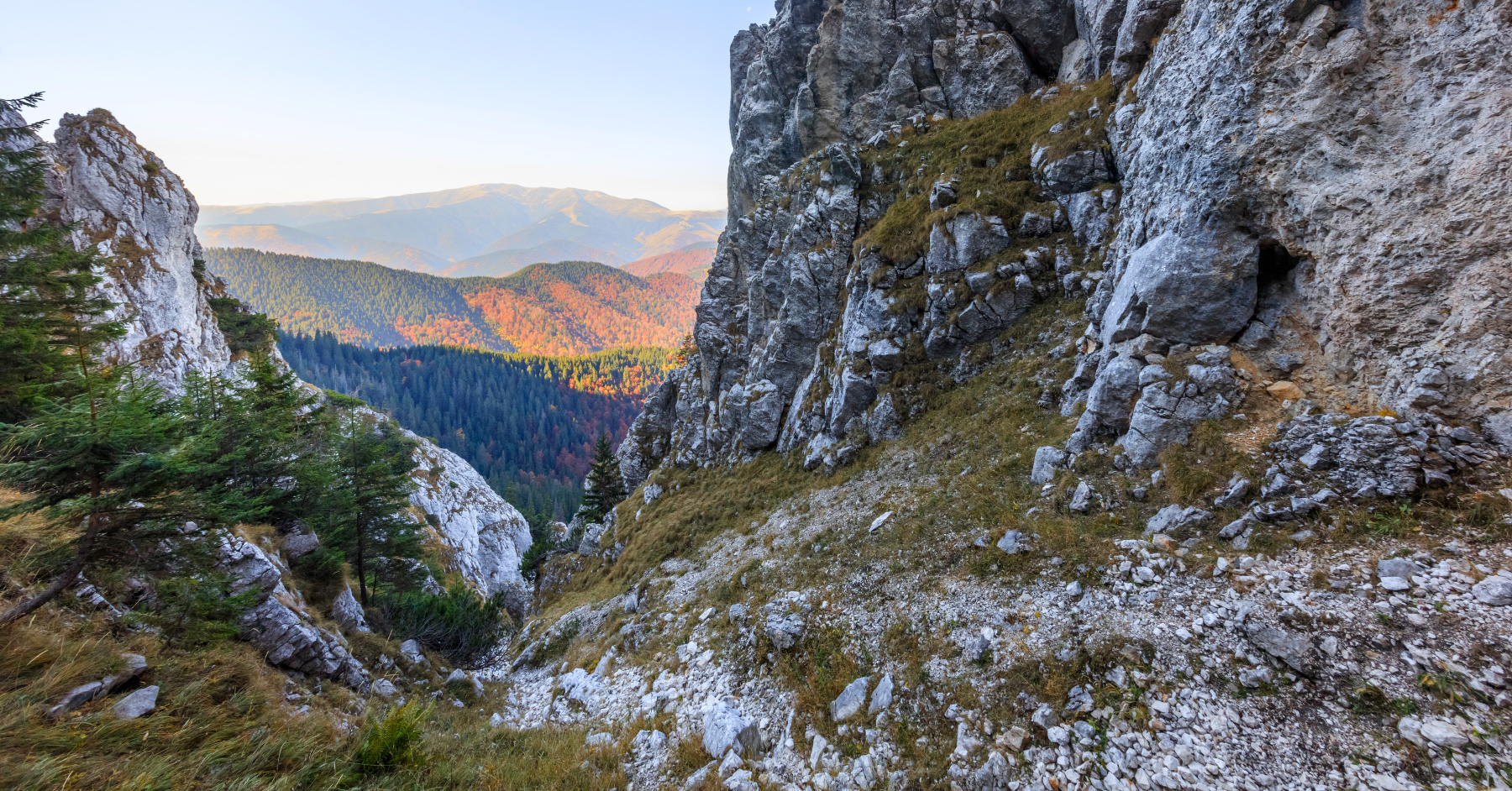 Cerdacul Stanciului