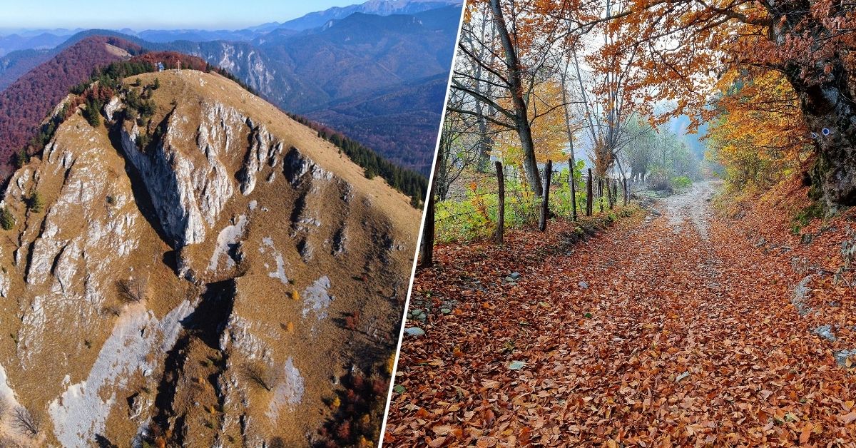 Aceasta imagine surprinde o grupare de persoane in timpul unei drumetii organizate la Piatra Dragoslavelor, avand parte de peisaje montane spectaculoase. Activitatea este ghidata de experti, oferind ocazia de a explora natura si de a socializa cu alti iubitori de aventura.