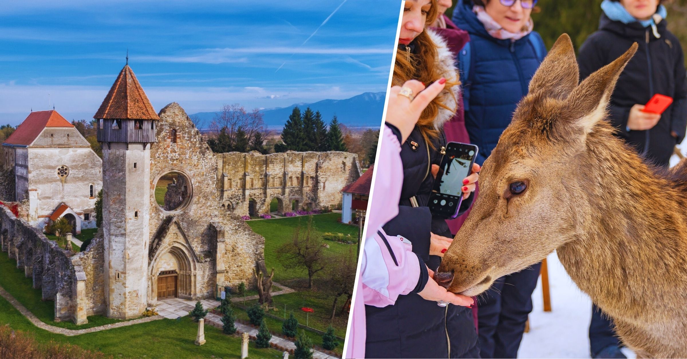 Excursie de toamnă la Ferma de Cerbi Poiana Neamțului, Abația Cisterciană Cârța, Mănăstirea și Cetatea Făgăraș