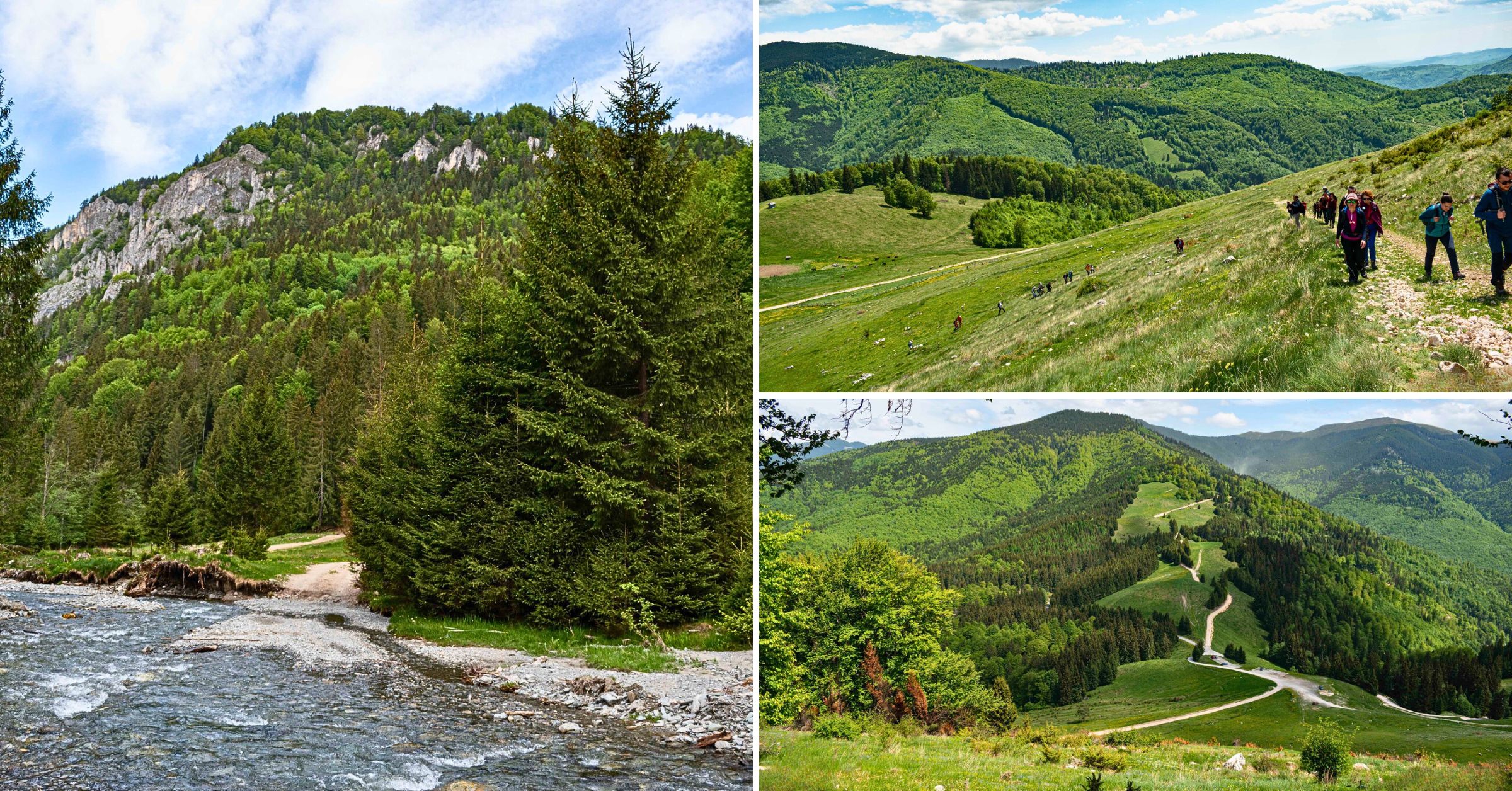Peisaj montan de primăvară pe traseul către Piatra Dragoslavelor, cu drumeți bucurându-se de natură și aer curat