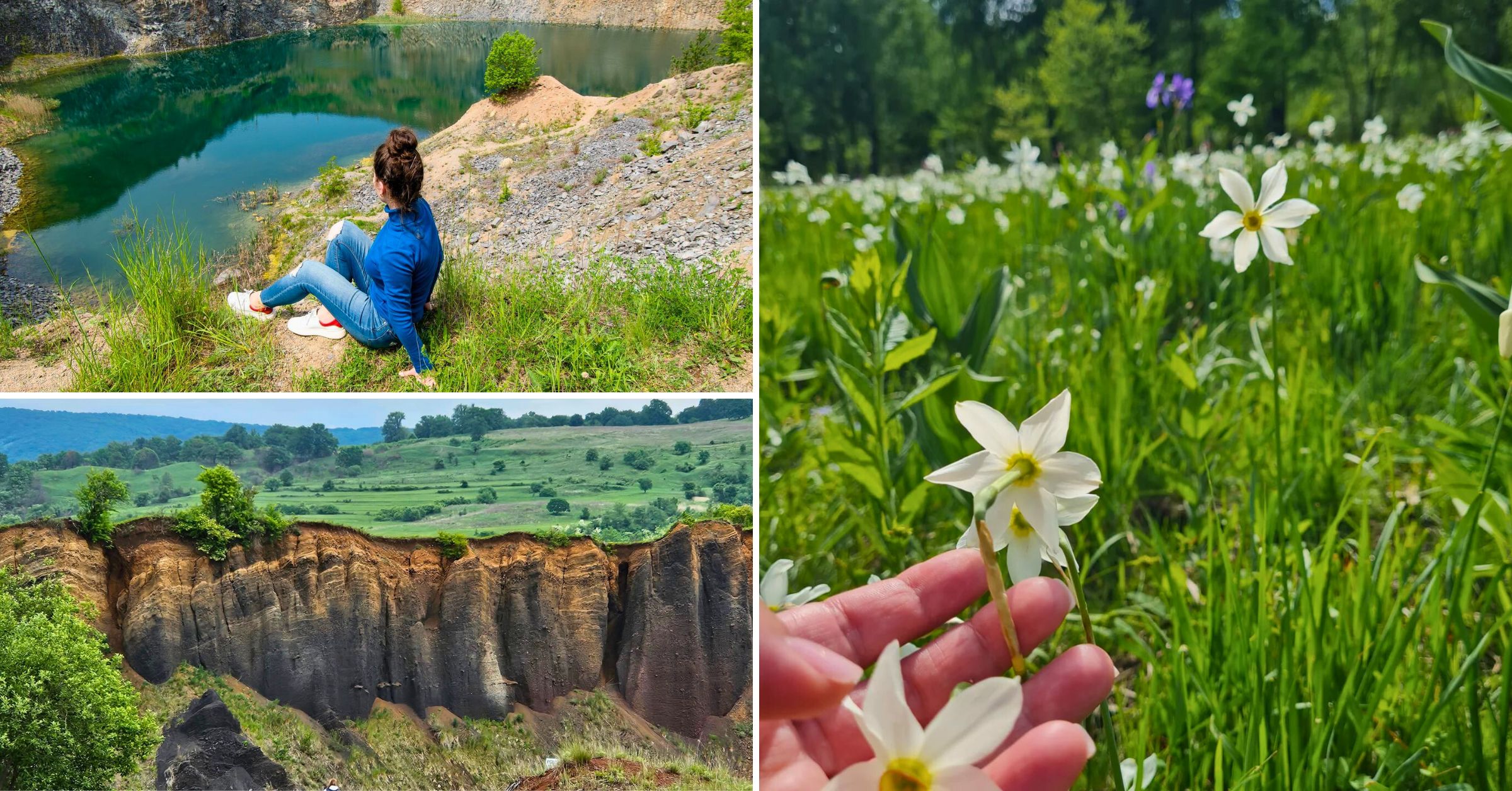 Excursie de socializare în natură – Festivalul Narciselor, Templul Ursitelor, Lacul de Smarald, Racoș