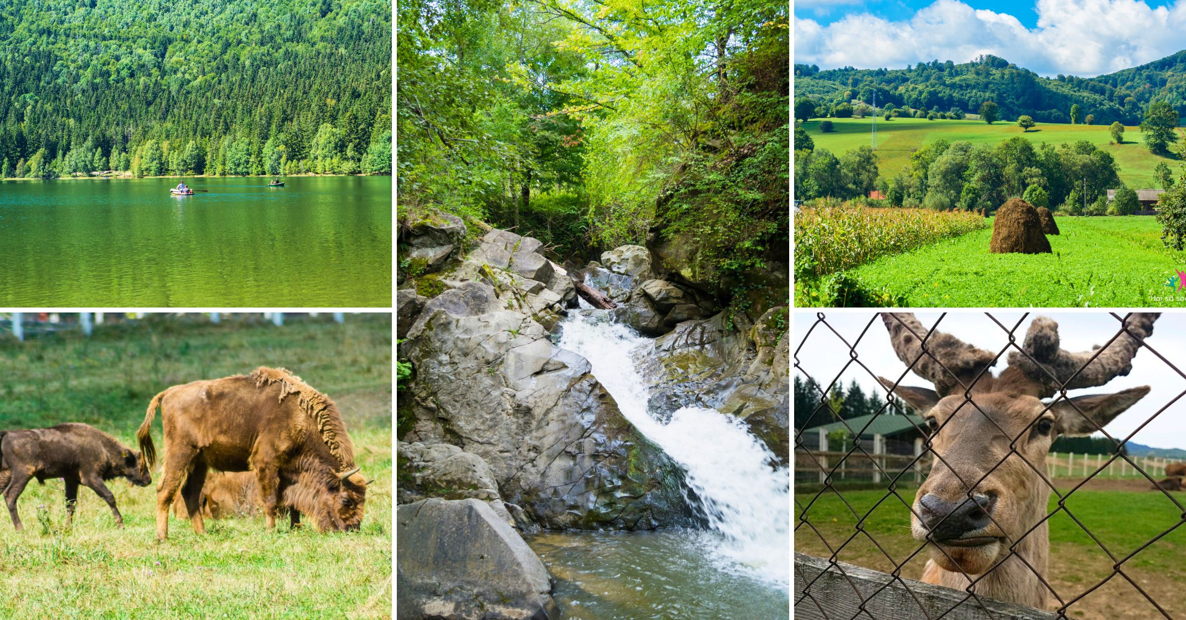 Peisaj natural din Covasna și Lacul Sfânta Ana – excursie de 3 zile cu trasee, ghid și cazare