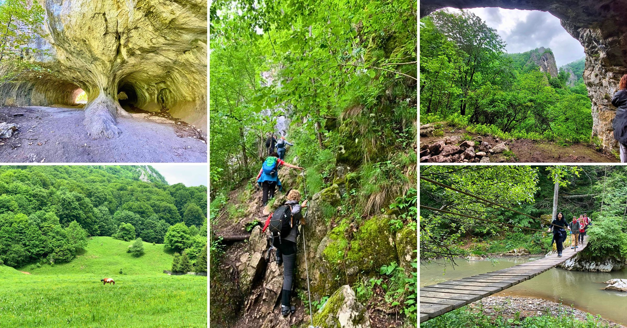 Drumeție de o zi în Cheile Vârghișului – peșteri, natură și aventură!