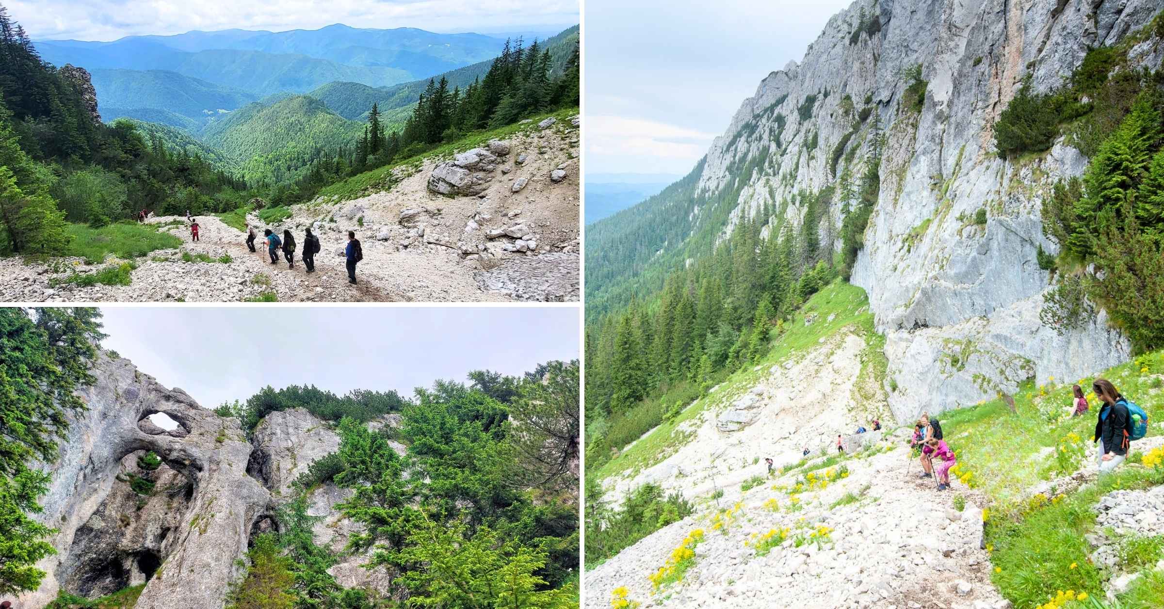 Peisaj montan din Piatra Craiului pe traseul spre La Zaplaz, cu vedere spre formatiuni stancoase si padure