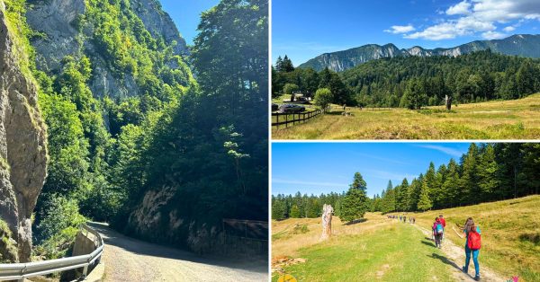 grup de turisti in drumetie montana spre Pestera Valea Cetatii si Cheile Rasnoavei – traseu din Rasnov spre Cabana Secuilor