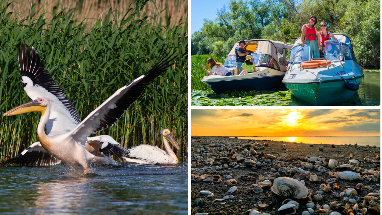 Excursie Delta Dunării 3 zile la Sulina, plimbare cu barca, peisaje naturale și păsări sălbatice