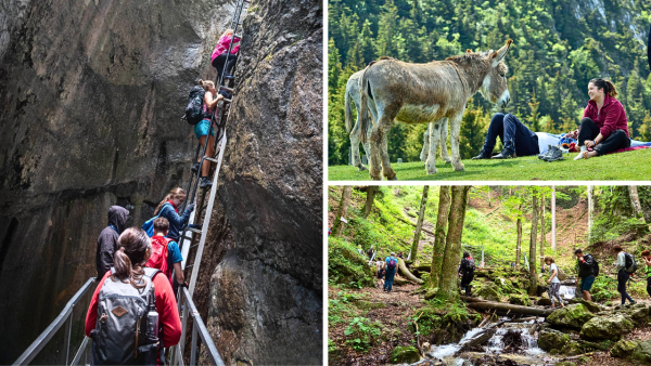 Drumeti pe traseul spre Canionul 7 Scari si Cabana Piatra Mare, inconjurati de padure si privelisti spectaculoase asupra muntilor