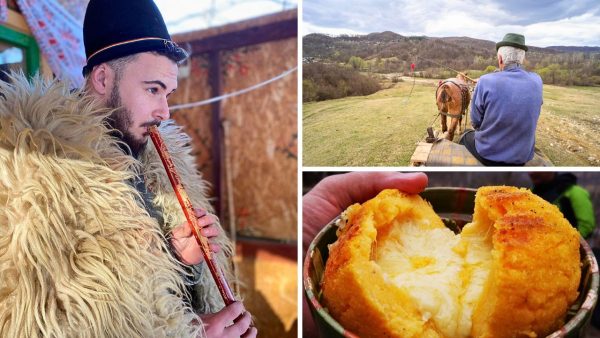 Participanti la Petrecere la Stana din Deal, in mijlocul naturii, alaturi de animale, mancare traditionala si plimbari cu caruta