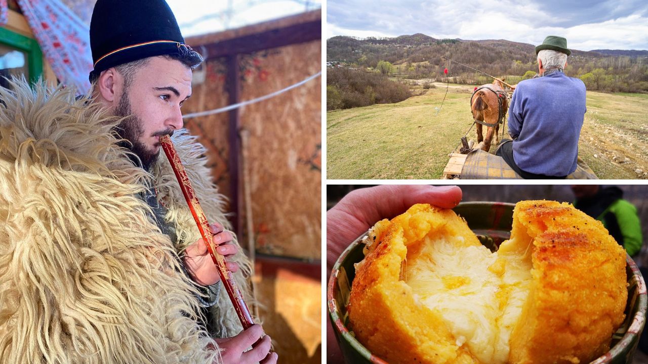 Participanti la Petrecere la Stana din Deal, in mijlocul naturii, alaturi de animale, mancare traditionala si plimbari cu caruta